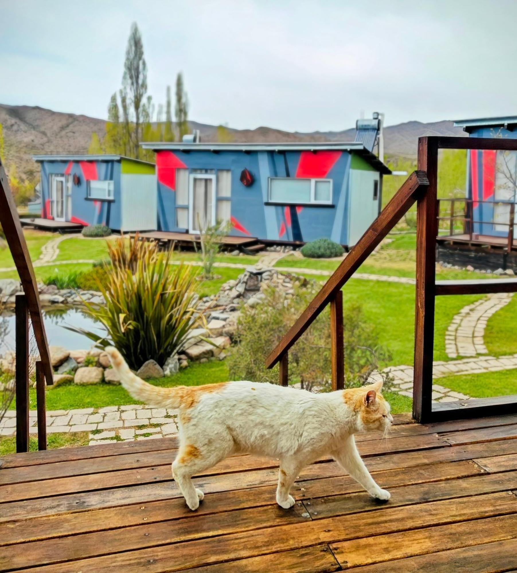 Vila Casa Faro Arte Potrerillos Exteriér fotografie